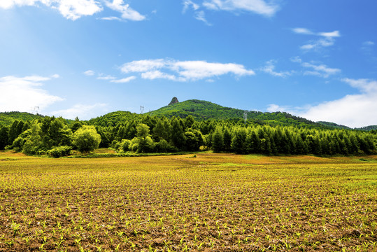 远山田园