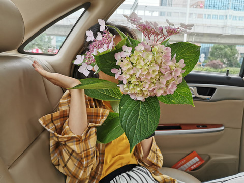 手捧绣球花遮住脸的少女