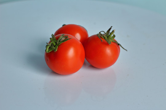 西红柿番茄