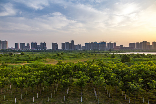 渭河晨曦