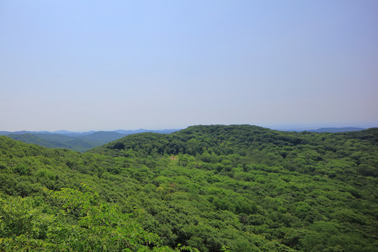 远山森林蓝天