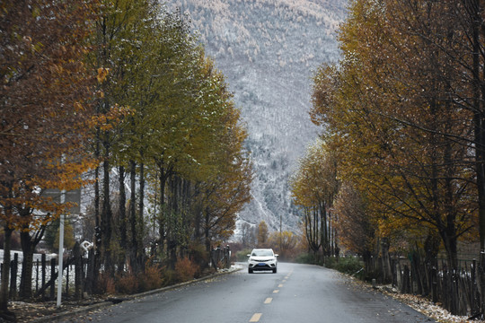 新都桥路上