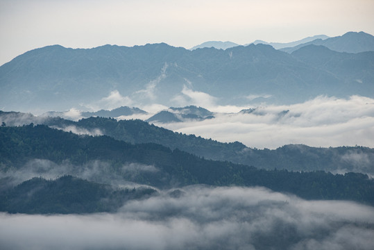 高山云雾