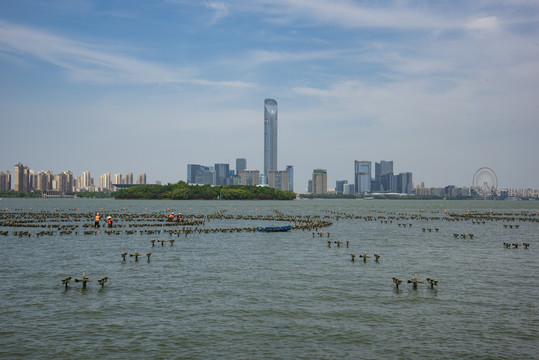 金鸡湖边建筑