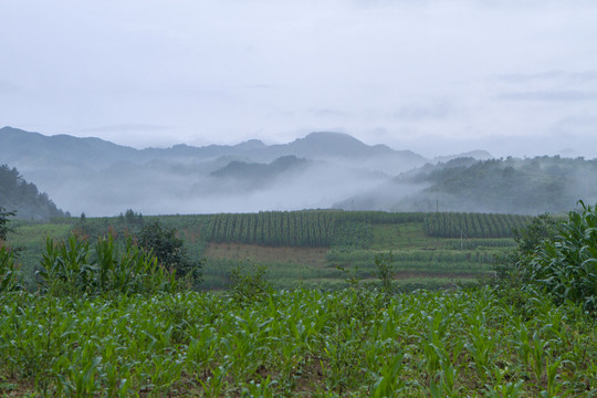 龙坝红庙B