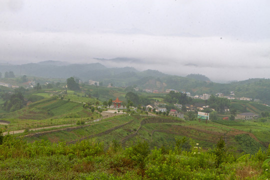龙坝红庙Y