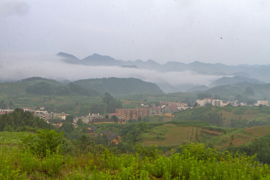 龙坝红庙Z