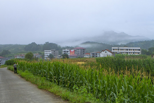 龙坝红庙C
