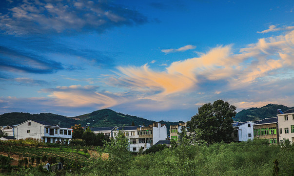 龙坝红庙U