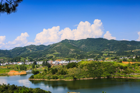 龙坝红庙V