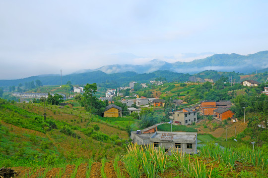 龙坝风光BR