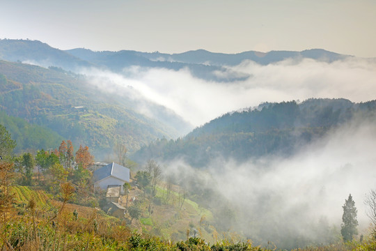 龙坝云雾E