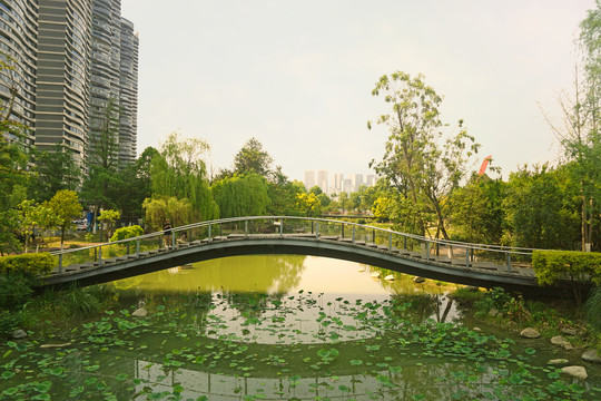 成都江滩公园水景园林小桥流水