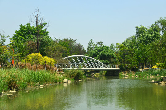 成都江滩公园园林水景