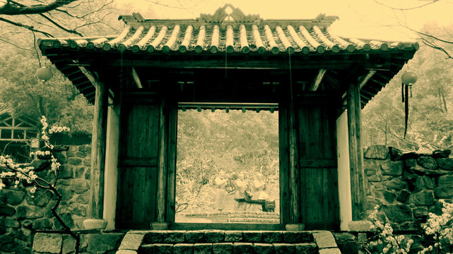 中国风院门复古照
