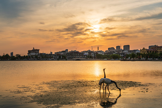 东昌湖风光