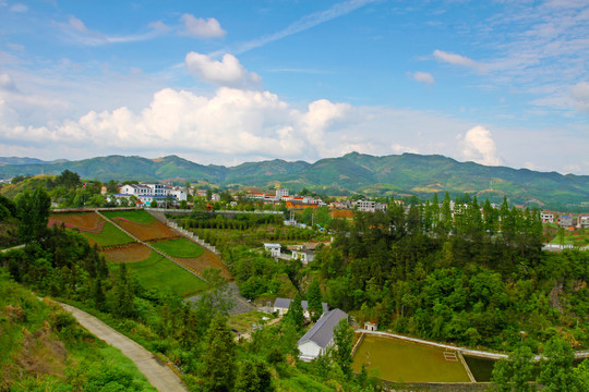龙坝水库BP