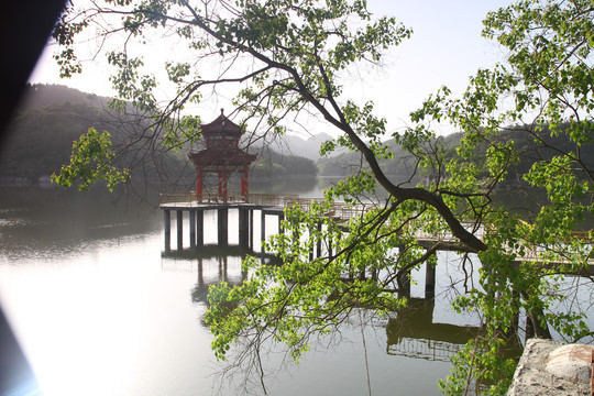 龙坝水库CD