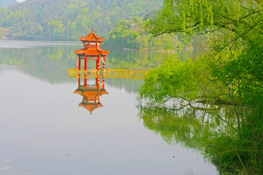 龙坝水库CH