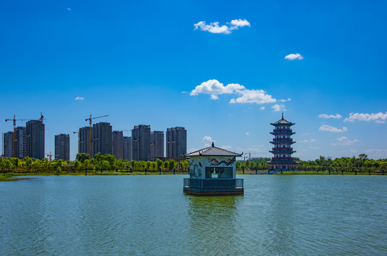 月季公园风光