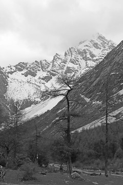 雪山之巅