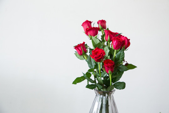 花瓶里的玫瑰花