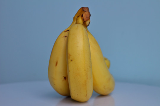 黄色大香蕉特写