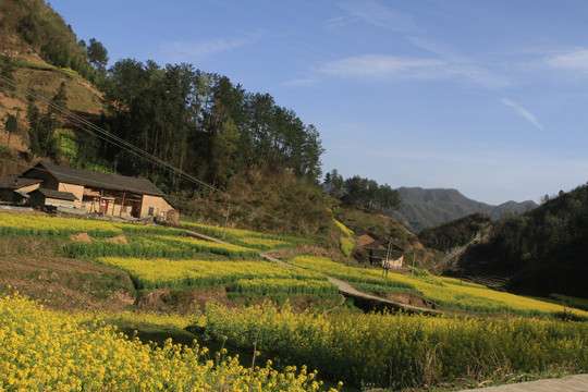 龙坝新华村BI