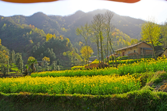 龙坝新华村BM