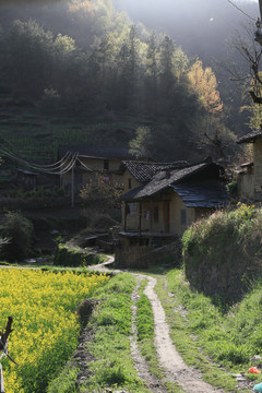龙坝新华村BU