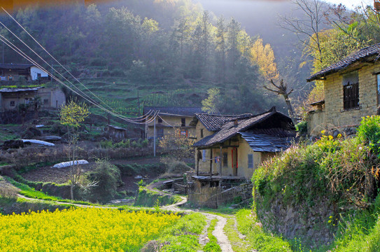 龙坝新华村BV