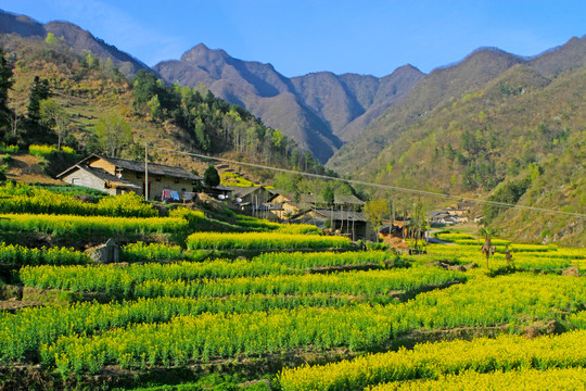 龙坝新华村BX