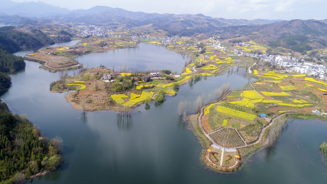 龙湖湿地航拍I