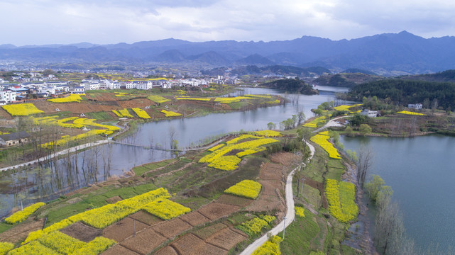 龙湖湿地航拍BF