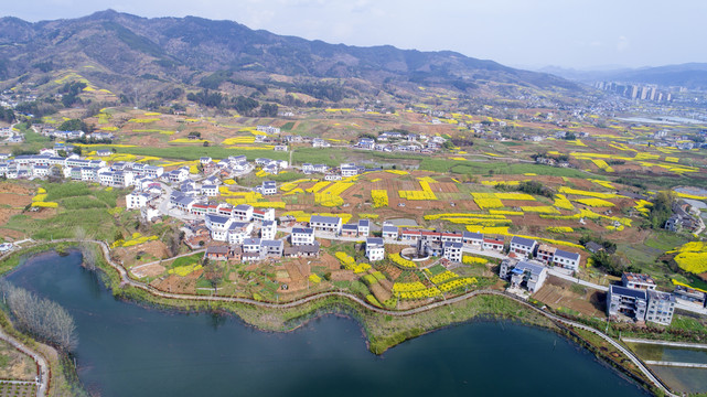 龙湖湿地航拍K