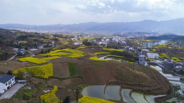 龙湖湿地航拍N