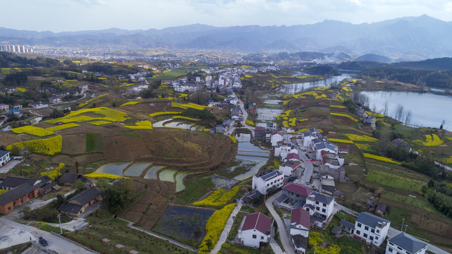 龙湖湿地航拍Q
