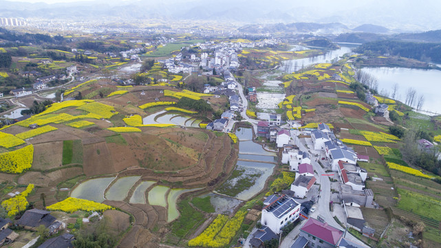 龙湖湿地航拍R