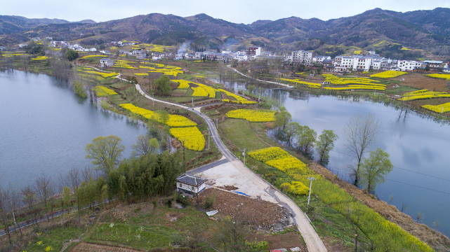 龙湖湿地航拍CF