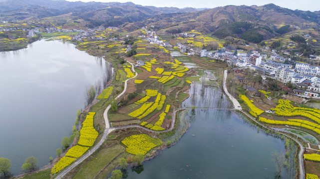 龙湖湿地航拍CO