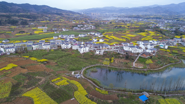 龙湖湿地航拍CQ