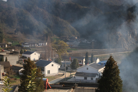 红庙村D