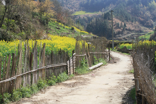 龙坝新华村N