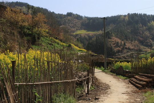 龙坝新华村O