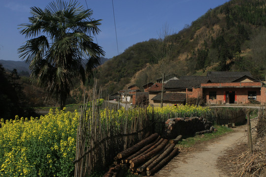 龙坝新华村P