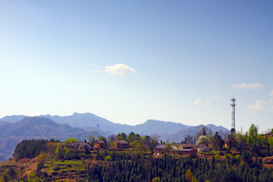 龙坝乡村BB