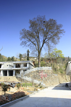 龙坝乡村E