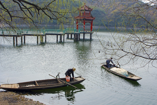 龙湖春天BB