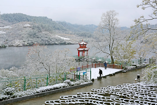 龙坝雪景BD