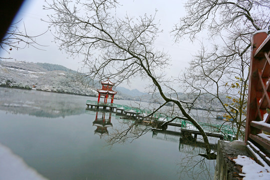 龙坝雪景BN